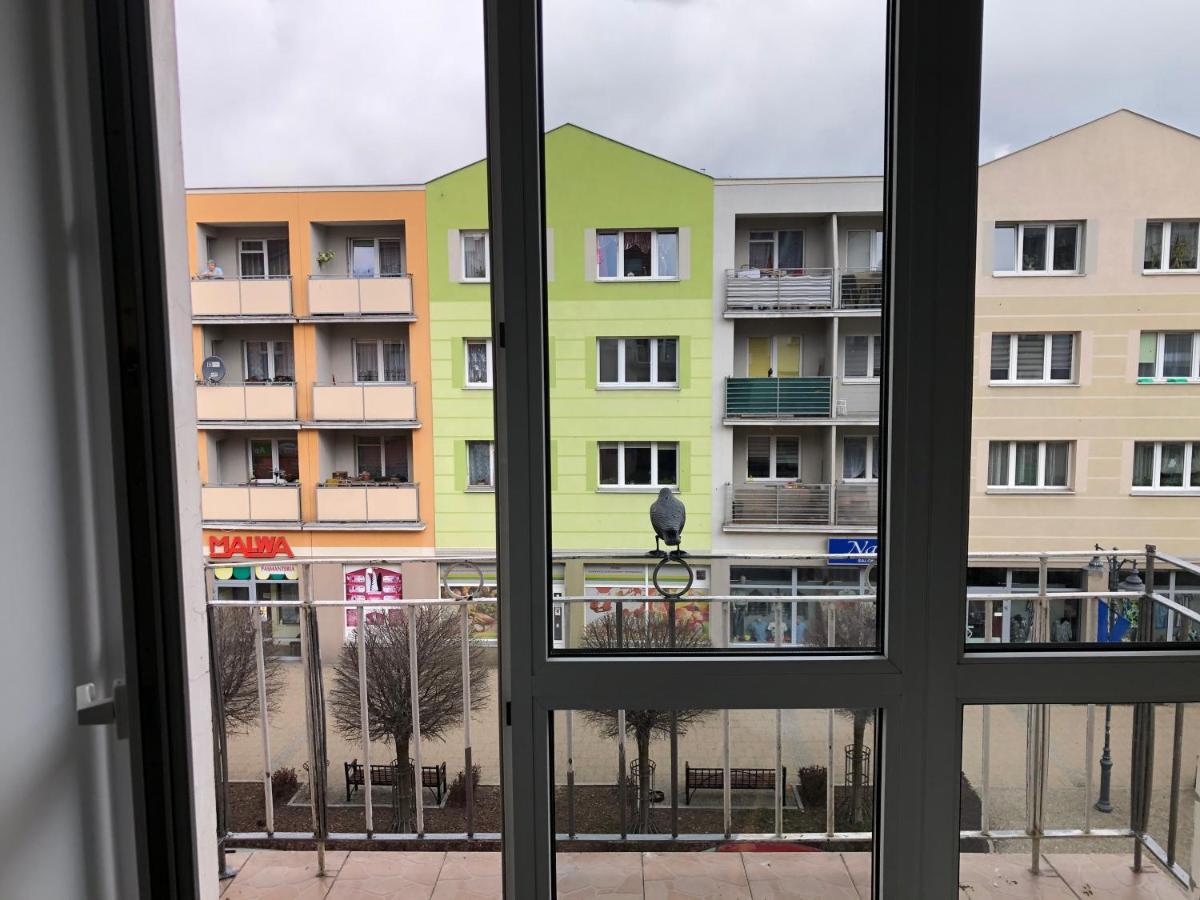 מאלבורק Apartament Kosciuszki מראה חיצוני תמונה